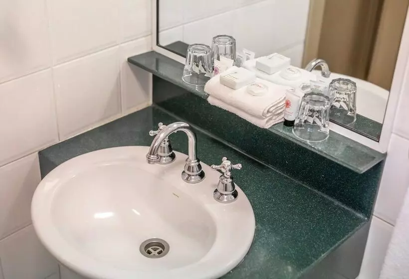 فندق Twin Towers Inn