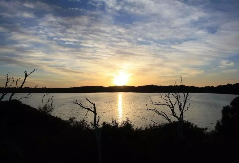 Lakeview Motel And Apartments