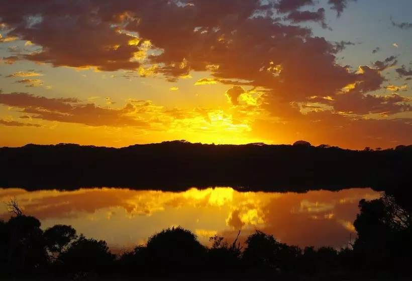 Lakeview Motel And Apartments