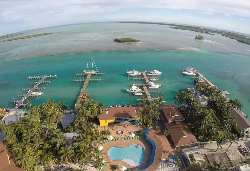فندق Bimini Big Game Club Resort & Marina