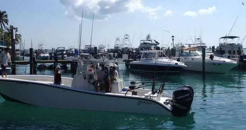 فندق Bimini Big Game Club Resort & Marina