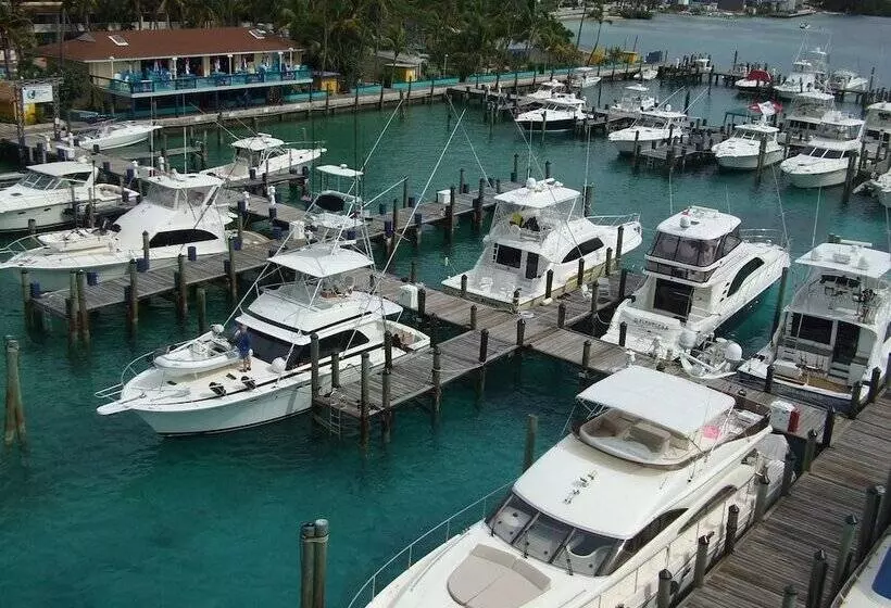 فندق Bimini Big Game Club Resort & Marina