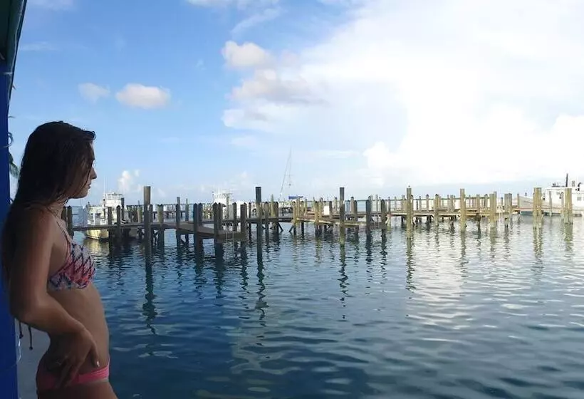 فندق Bimini Big Game Club Resort & Marina