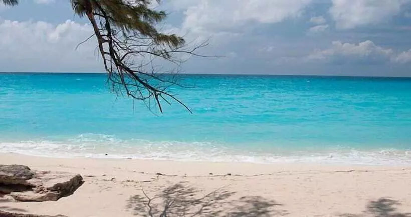 فندق Bimini Big Game Club Resort & Marina