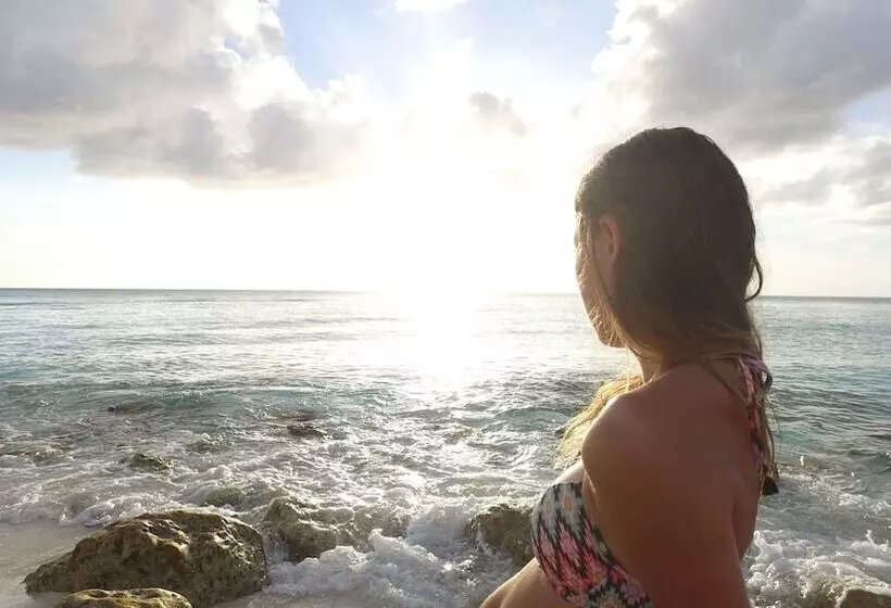 فندق Bimini Big Game Club Resort & Marina