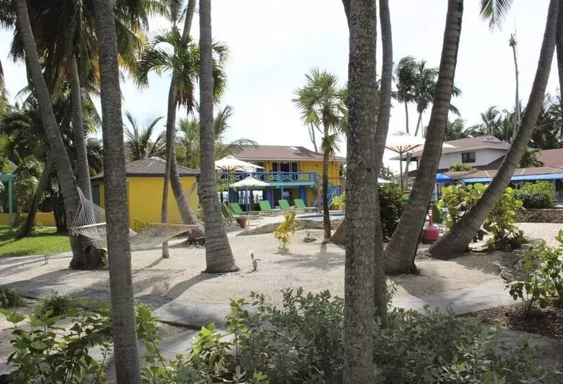 فندق Bimini Big Game Club Resort & Marina