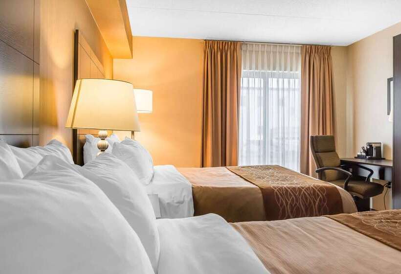 Отель Quality Inn