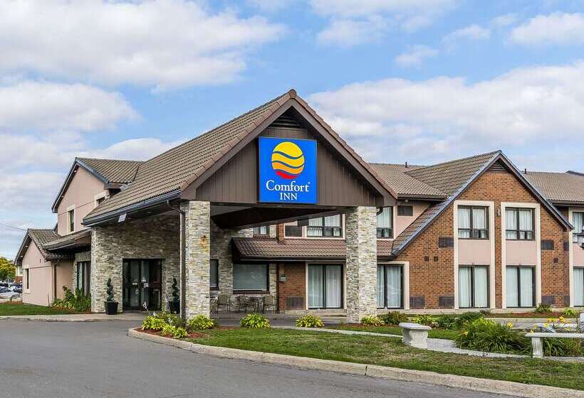 Отель Quality Inn