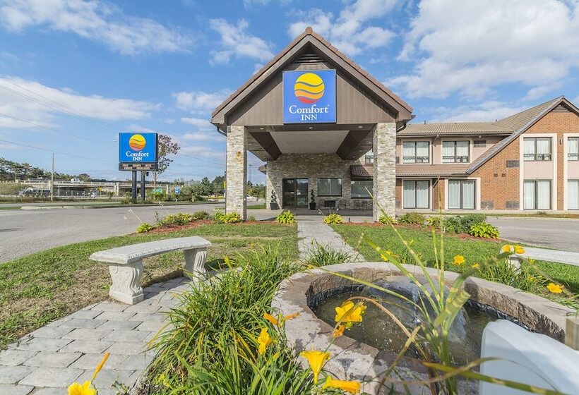 Отель Quality Inn