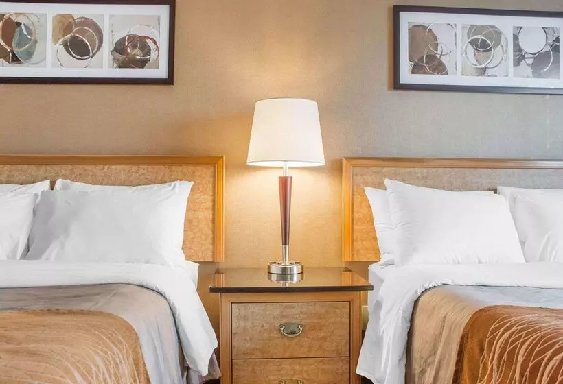 בית מלון כפרי Comfort Inn