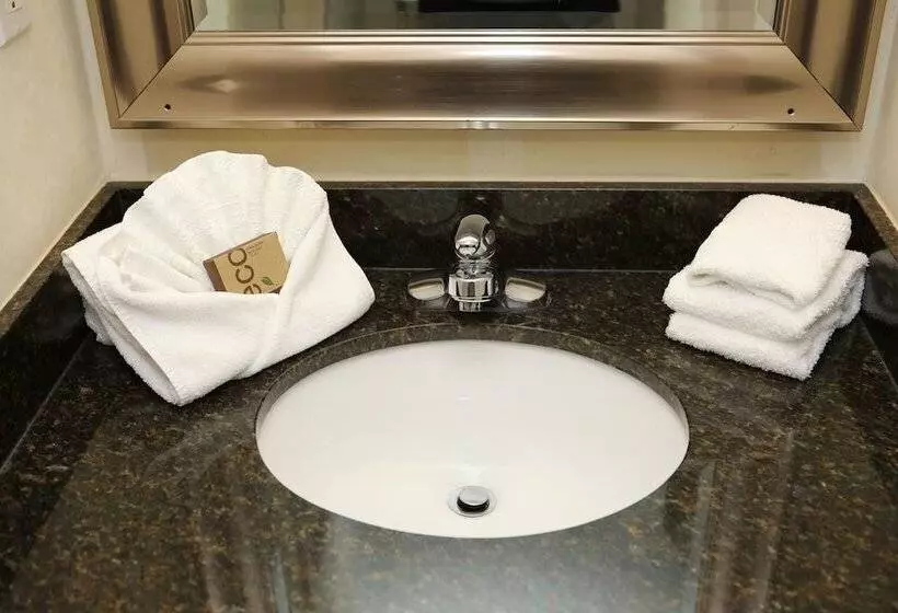 Hotel Continental Inn & Suites