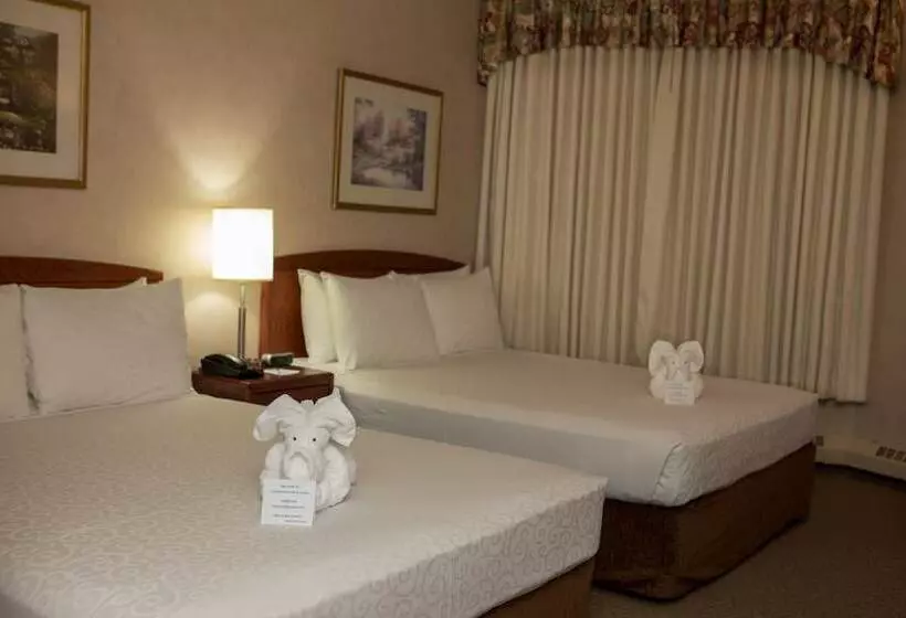 Hotel Continental Inn & Suites