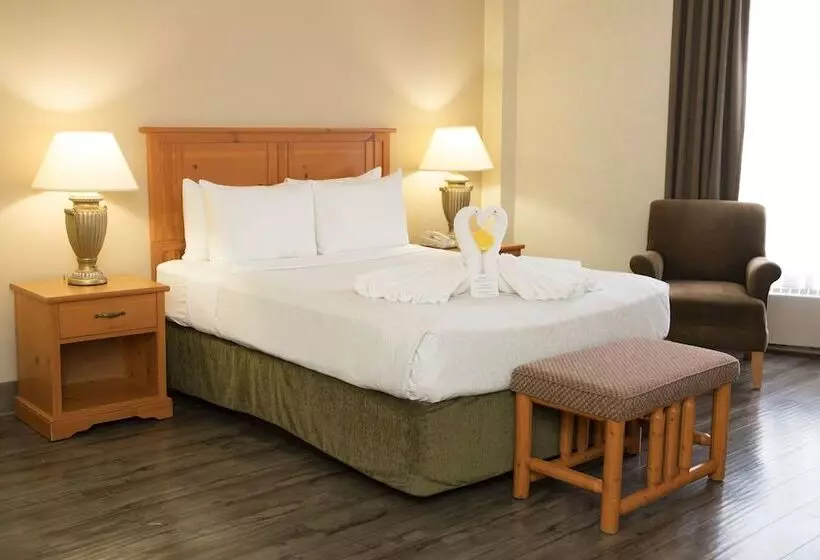 Hotel Continental Inn & Suites