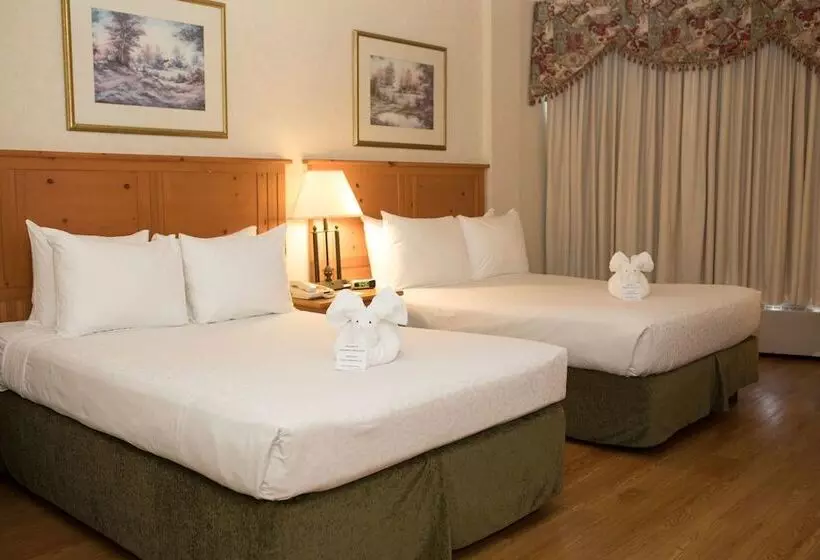 Hotel Continental Inn & Suites