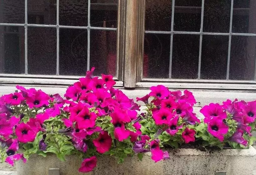 酒店 Cour St Georges