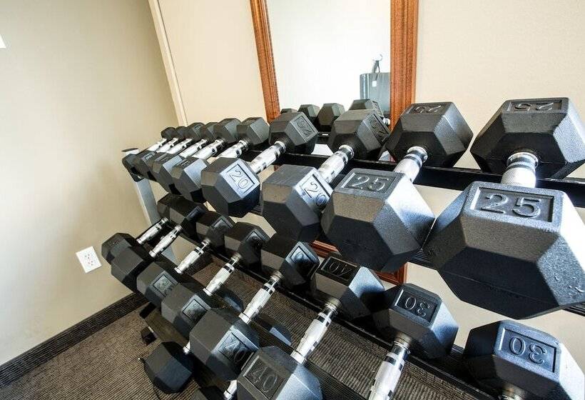 Nomad Hotel & Suites