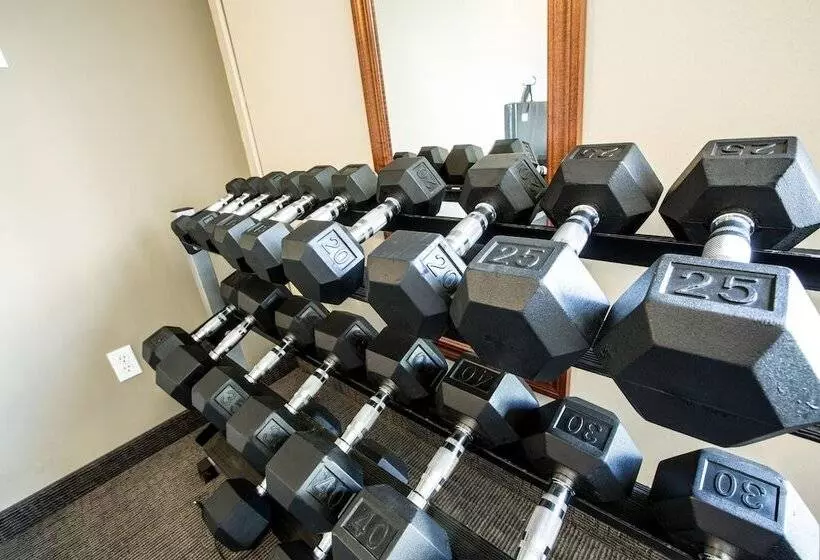 Nomad Hotel & Suites