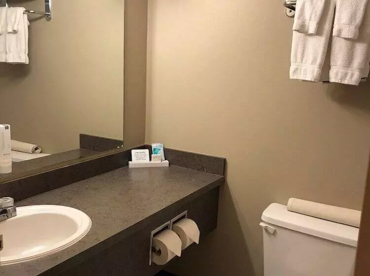 Nomad Hotel & Suites