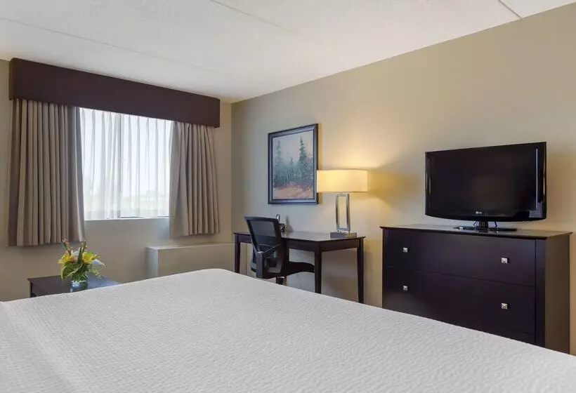 ホテル Best Western Pembroke Inn & Conference Centre