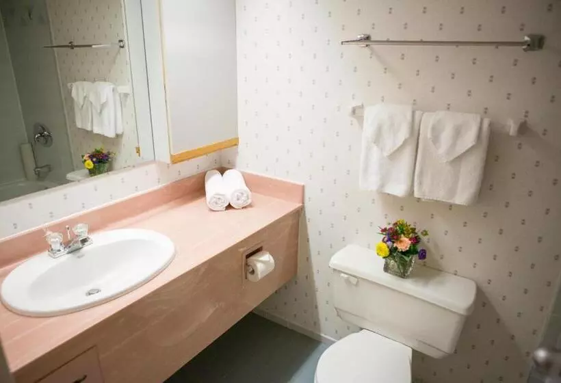 Szálloda Cartier Place Suite