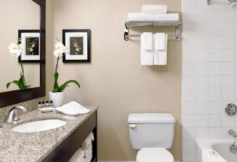 Chelsea Hotel Toronto