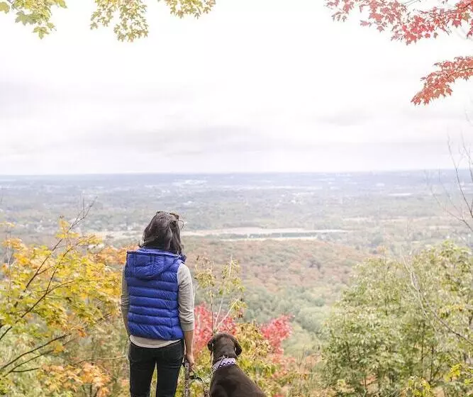 酒店 Comfort Inn Gatineau