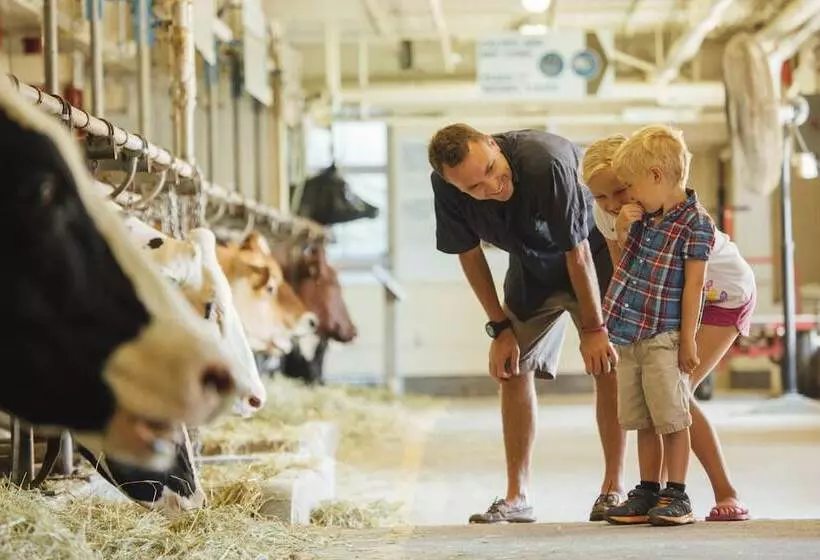 酒店 Comfort Inn Gatineau