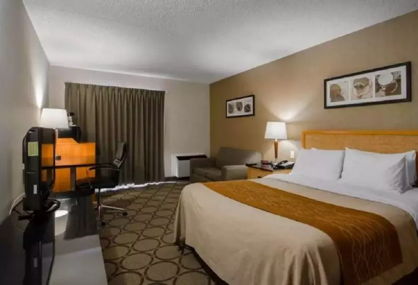 Отель Comfort Inn