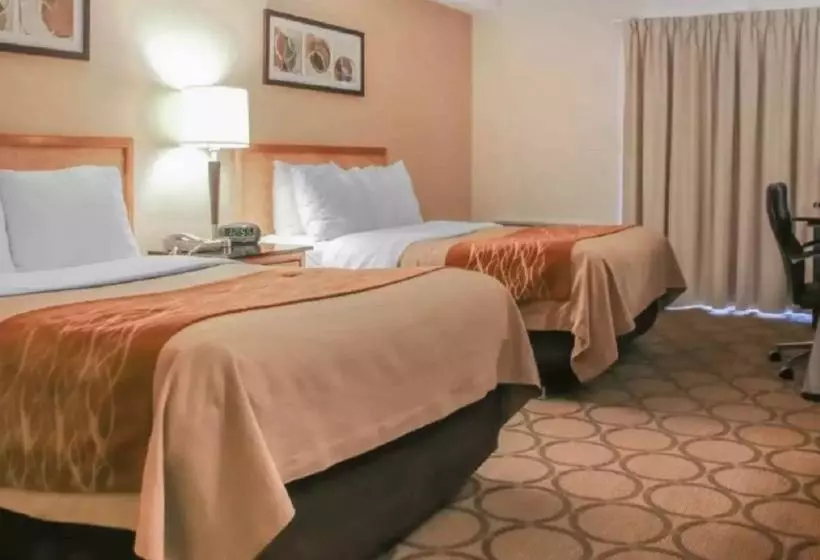 Отель Comfort Inn