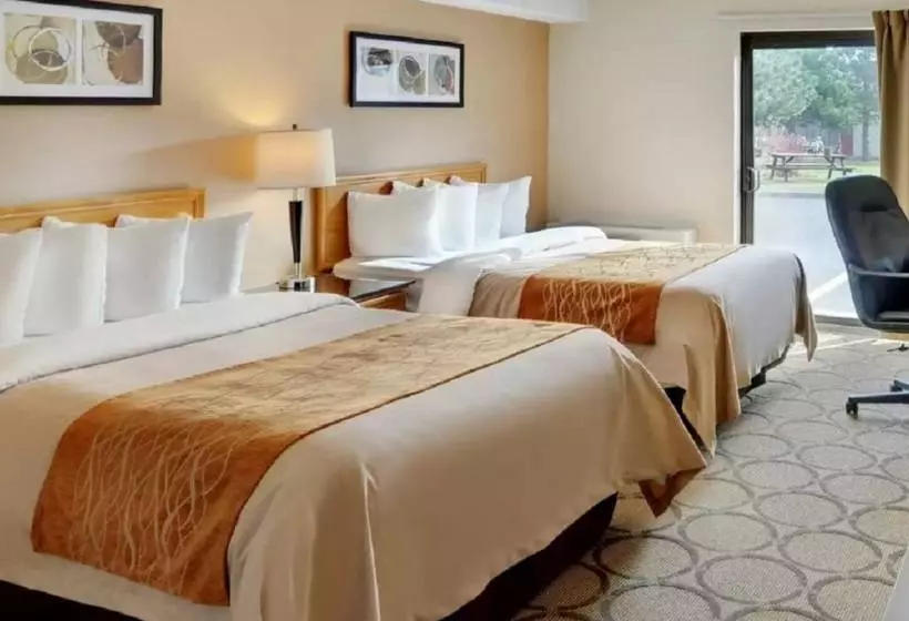 Отель Comfort Inn