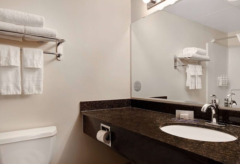 هتل Days Inn & Conference Centre By Wyndham Prince Albert