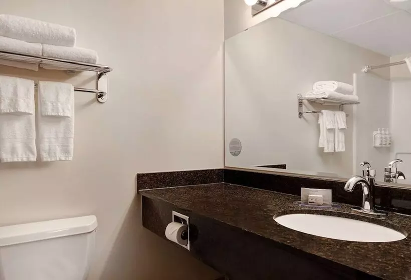 בית מלון כפרי Days Inn & Conference Centre By Wyndham Prince Albert