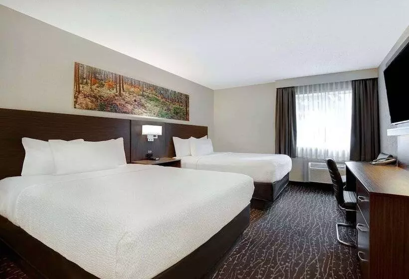 בית מלון כפרי Days Inn & Conference Centre By Wyndham Prince Albert