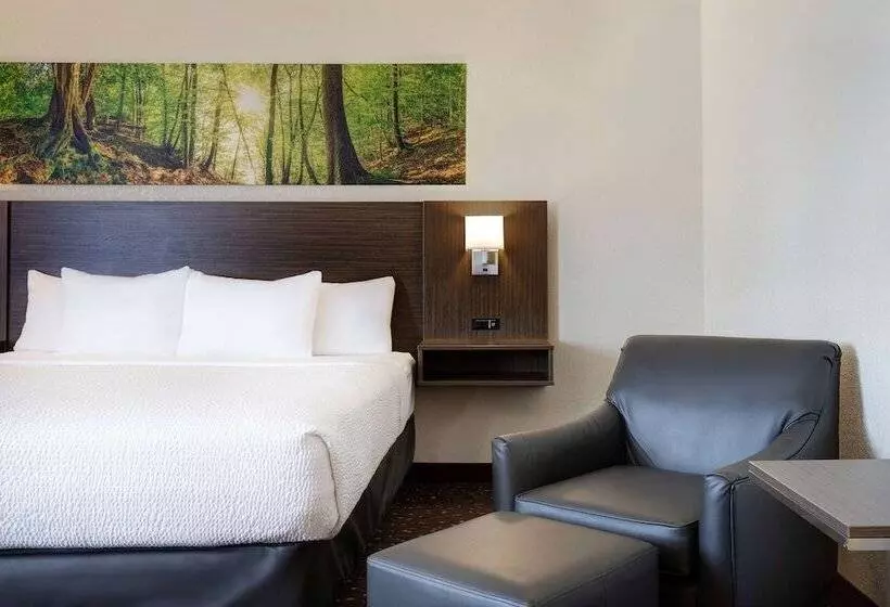 בית מלון כפרי Days Inn & Conference Centre By Wyndham Prince Albert