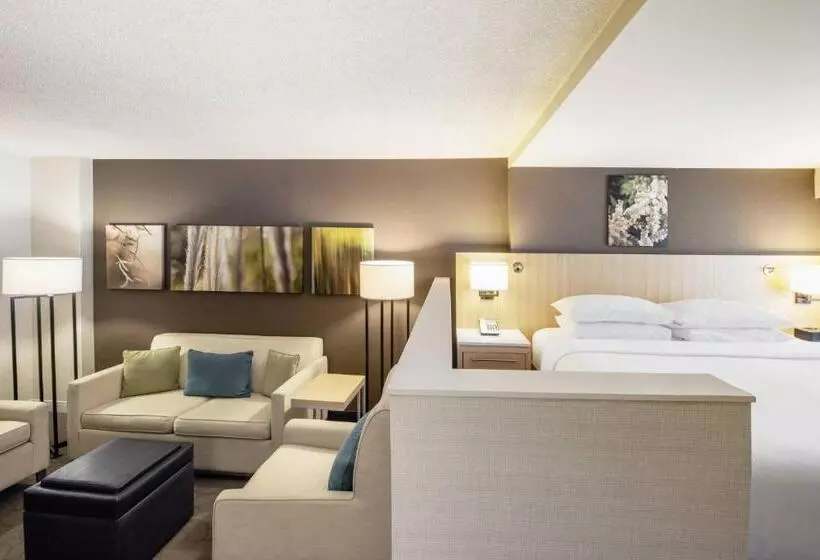 Delta Hotels By Marriott Winnipeg