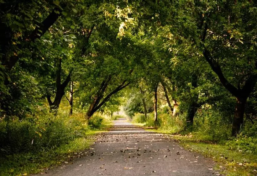 Отель Hôtels Gouverneur Montréal   île Charron