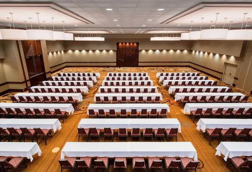 Sheraton Hotel Newfoundland