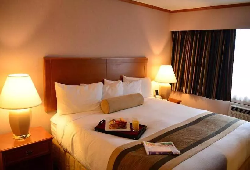 호텔 The Hospitality Inn