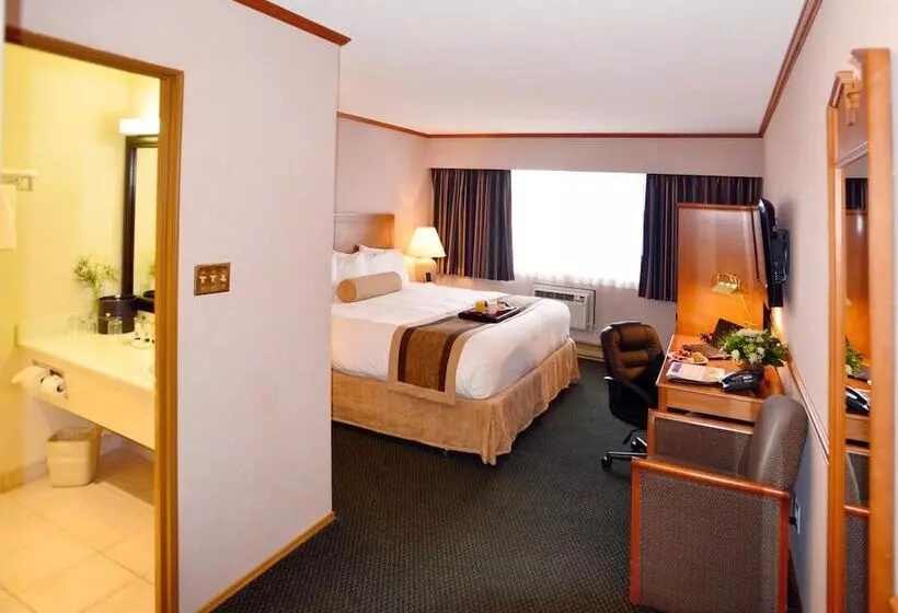 호텔 The Hospitality Inn