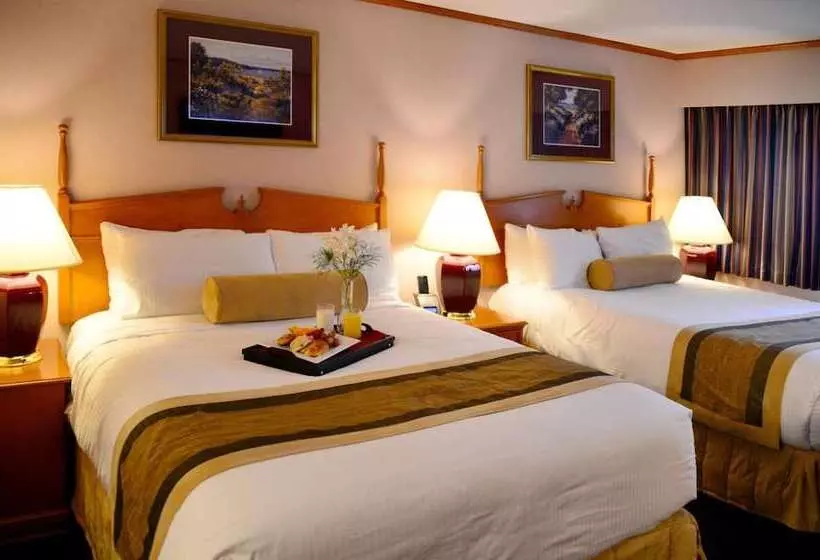 호텔 The Hospitality Inn