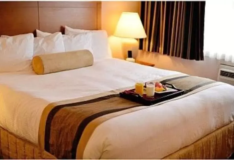 호텔 The Hospitality Inn