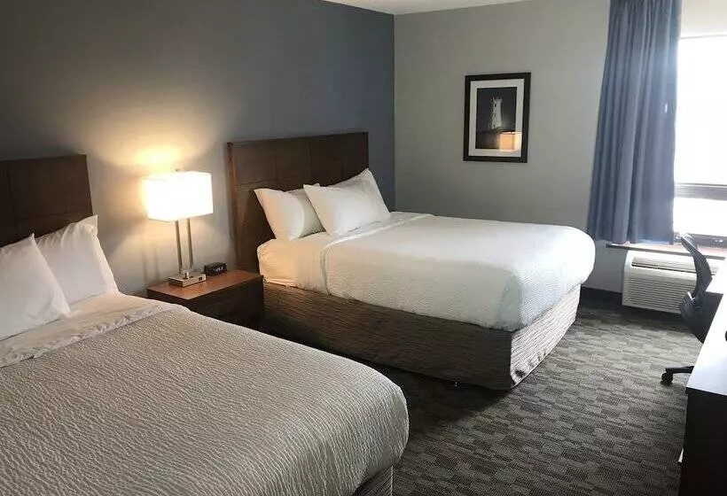 فندق Travelodge By Wyndham Sydney