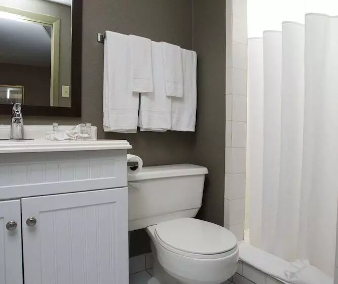 The Falls Hotel & Inn