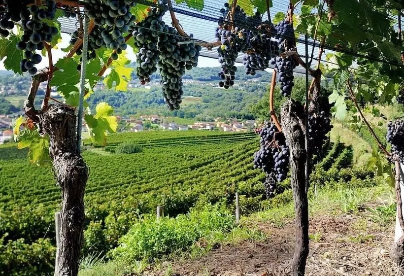 Conca Bella Boutique Hotel & Wine Experience