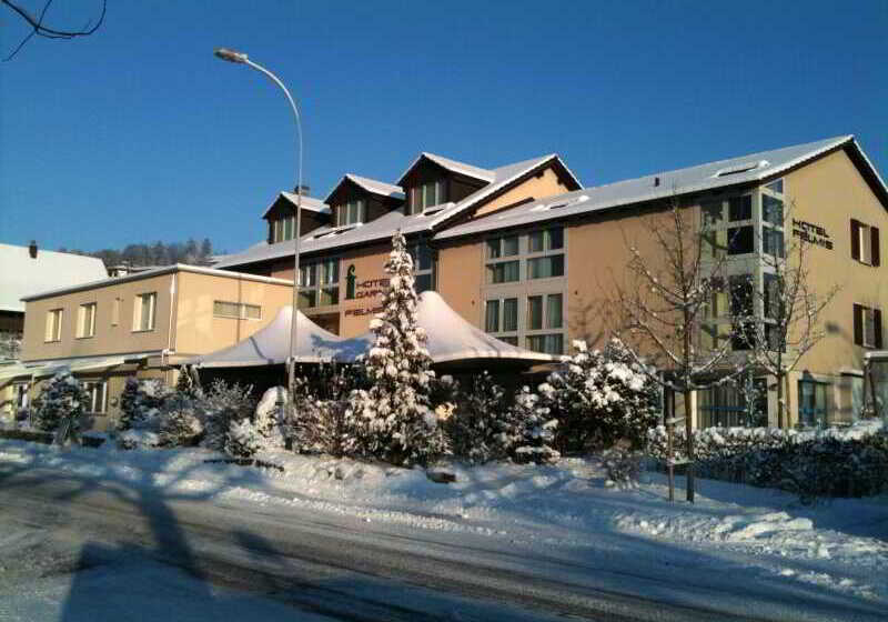 Hotel Felmis