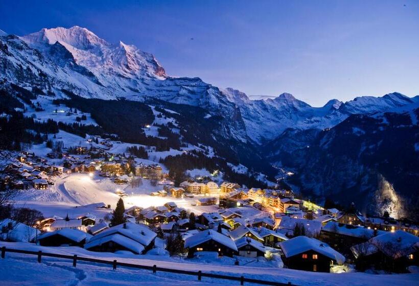 هتل Jungfraublick