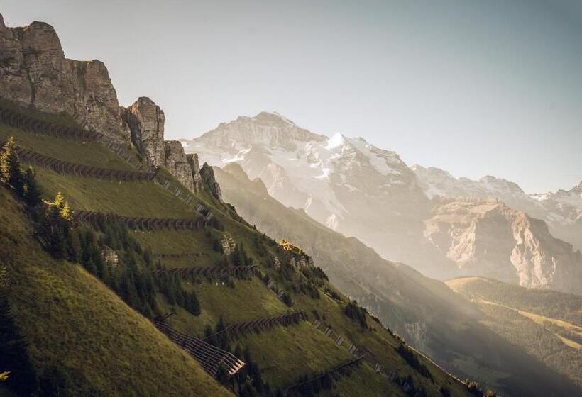هتل Jungfraublick