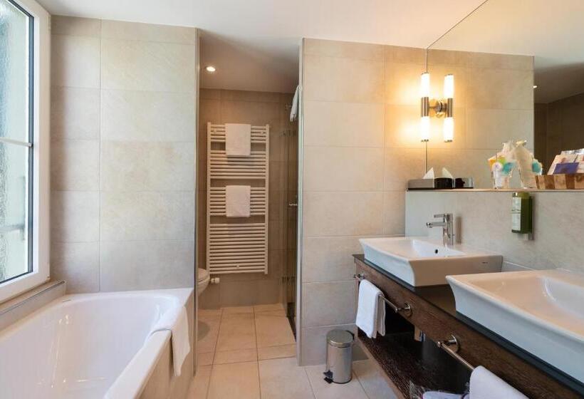 בית מלון כפרי Krebs Interlaken