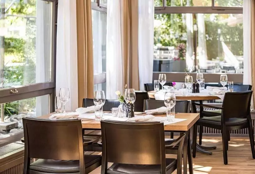 Szálloda Schützen Rheinfelden