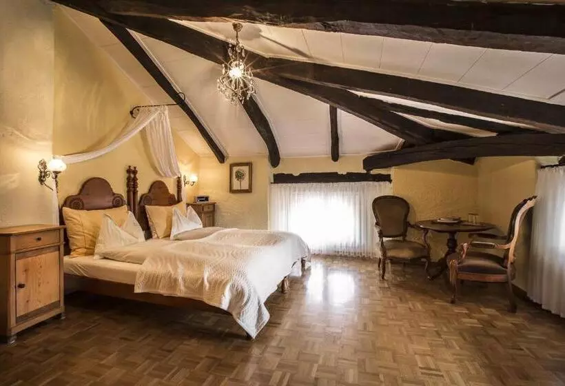 Swiss Historic Hotel Villa Carona